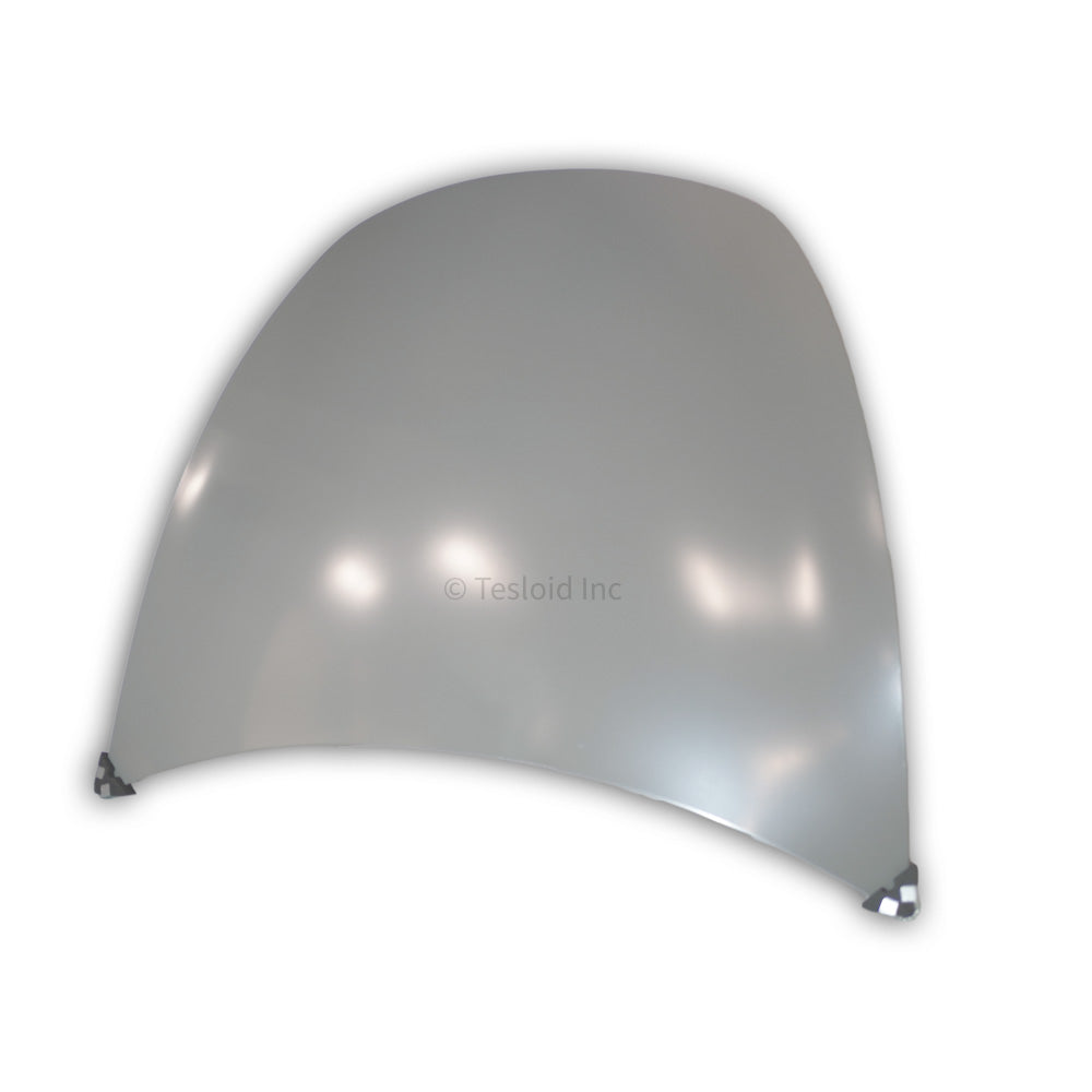 HOOD ASSEMBLY COMPONENT SERVICE E-COATED - Model Y