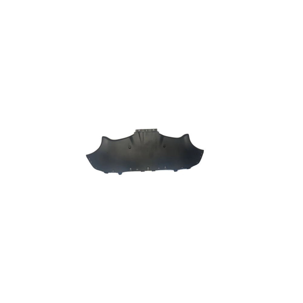 REAR FASCIA - DIFFUSER - Model Y