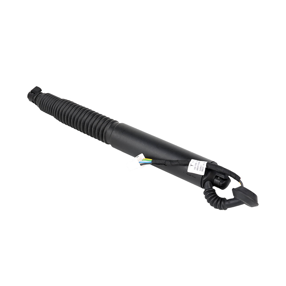 TRUNK LEFT HAND POWER STRUT - Model 3
