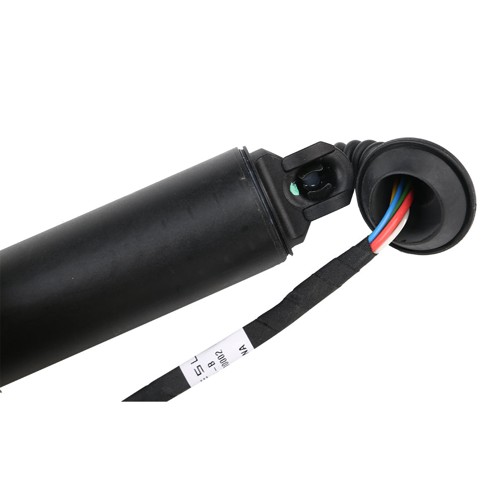 TRUNK LEFT HAND POWER STRUT - Model 3