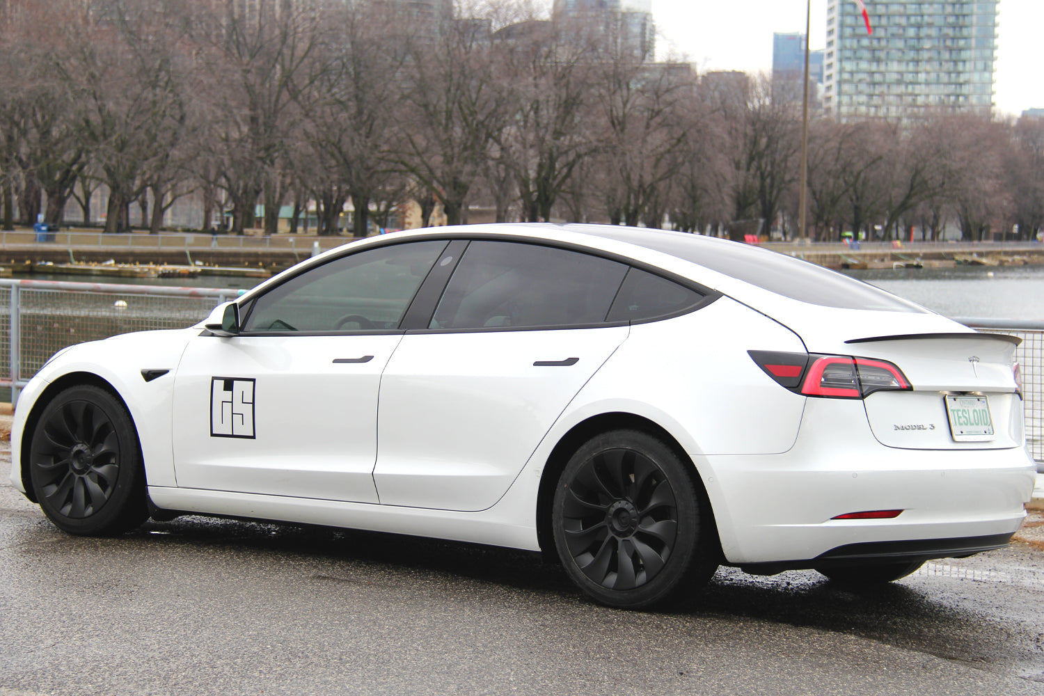 Model 3 Wheel Covers – Induction