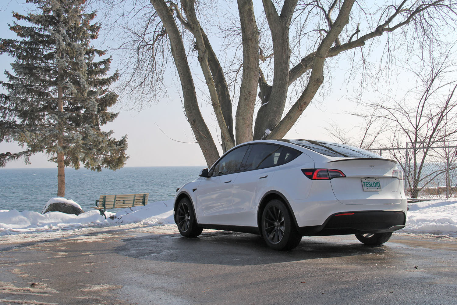Model Y Performance Spoiler