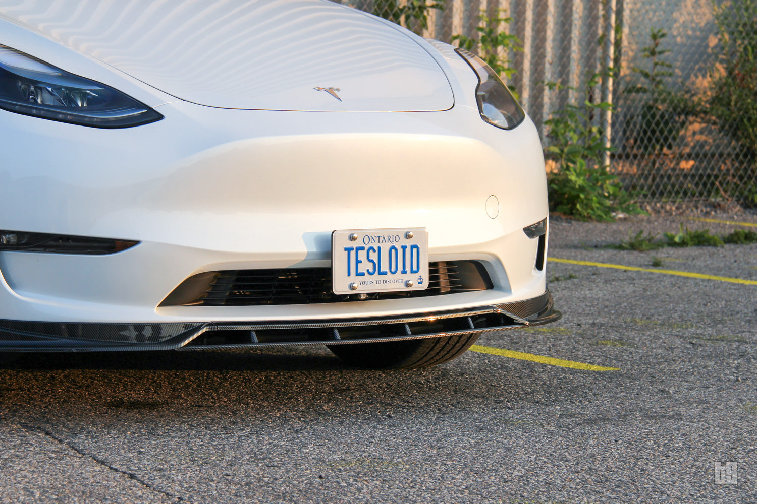 Model Y Performance Plate Holder