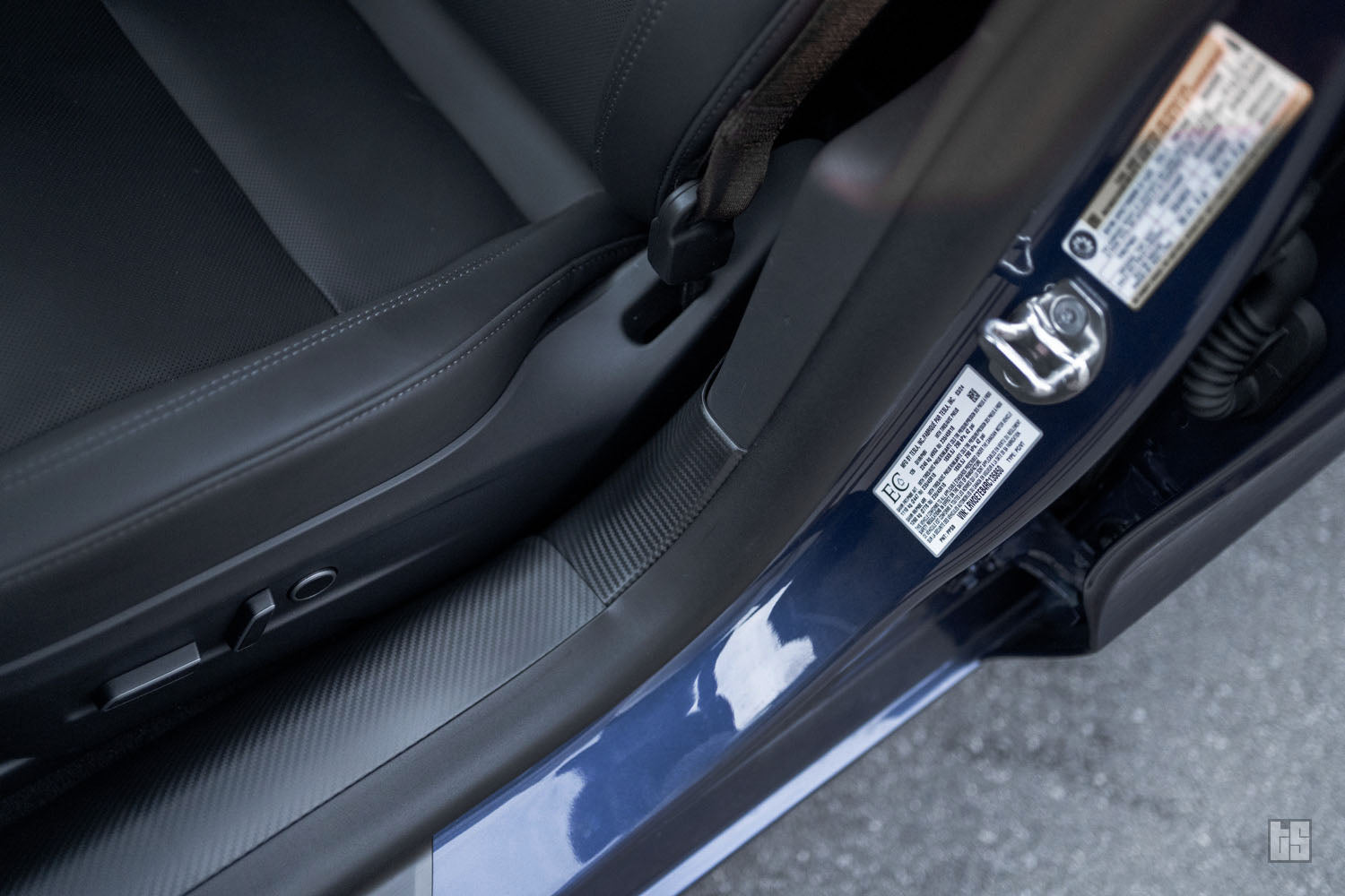 Model 3 Door Sill & Trunk Sill Guards – Carbon Fiber