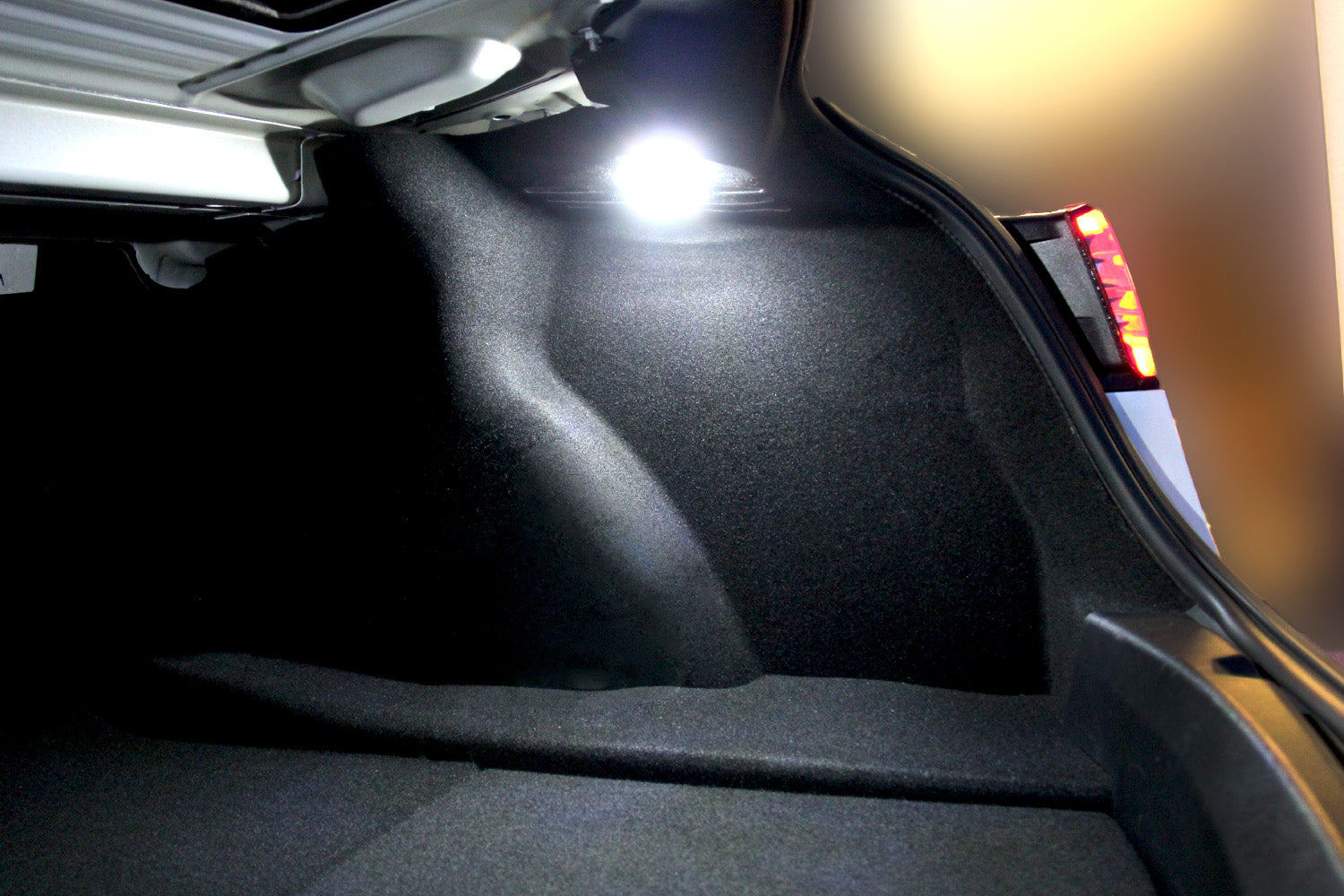 Model 3 Ultra Bright Trunk and Puddle Lights