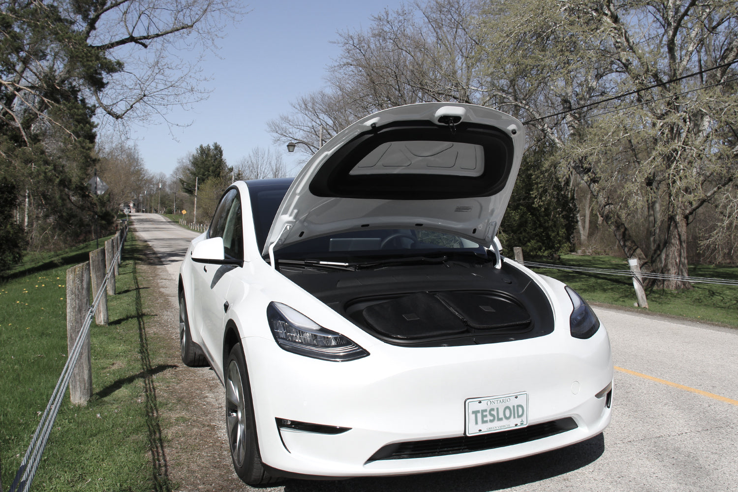 Model Y Frunk Cooler Food Bag