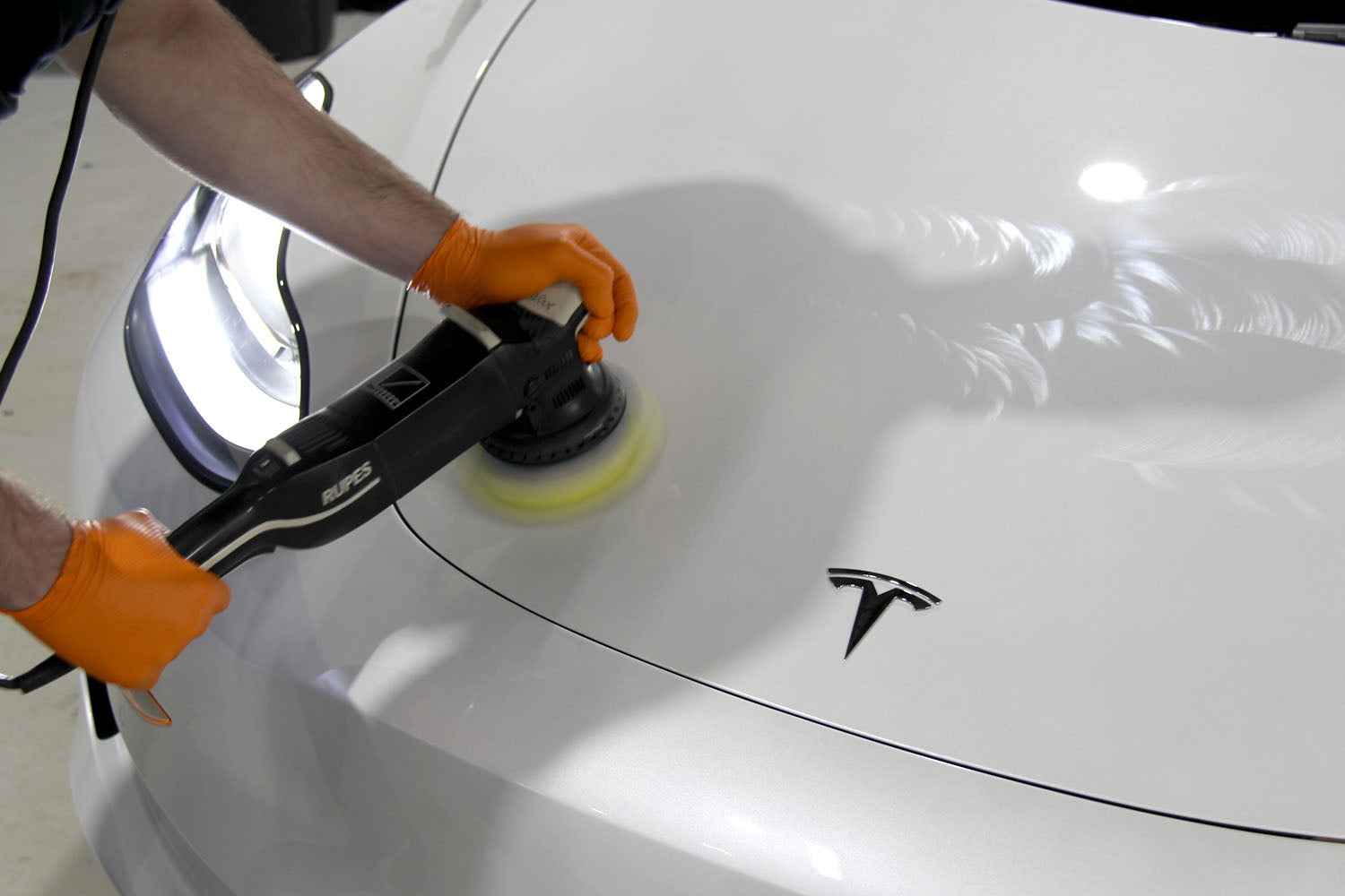 Model Y Paint Protection Film (PPF)