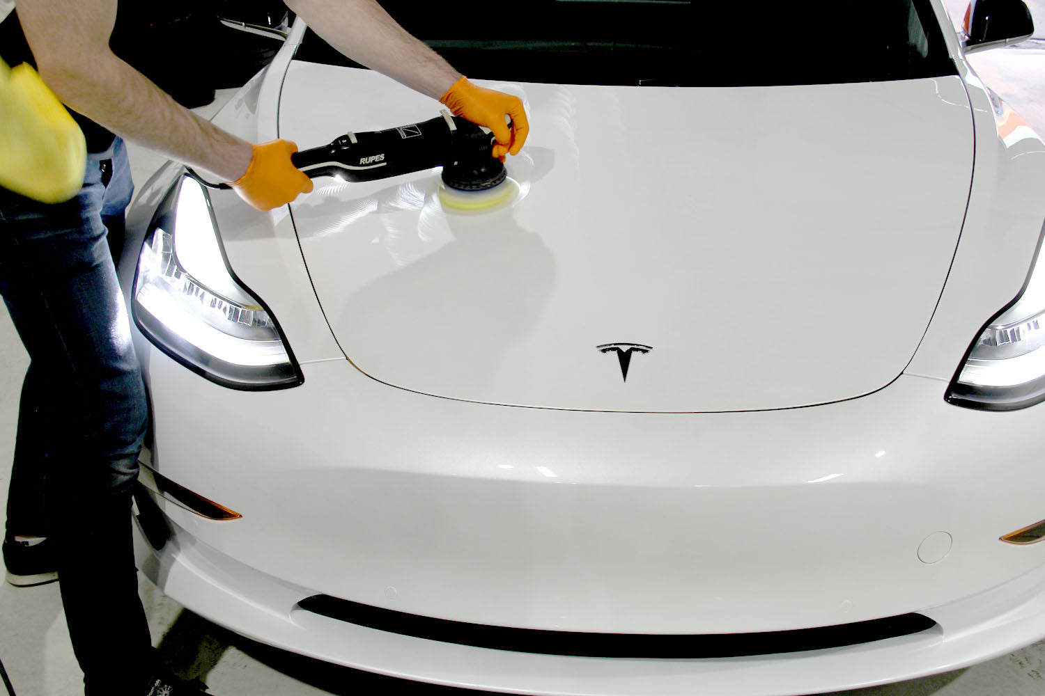 Model 3 Paint Protection Film (PPF)