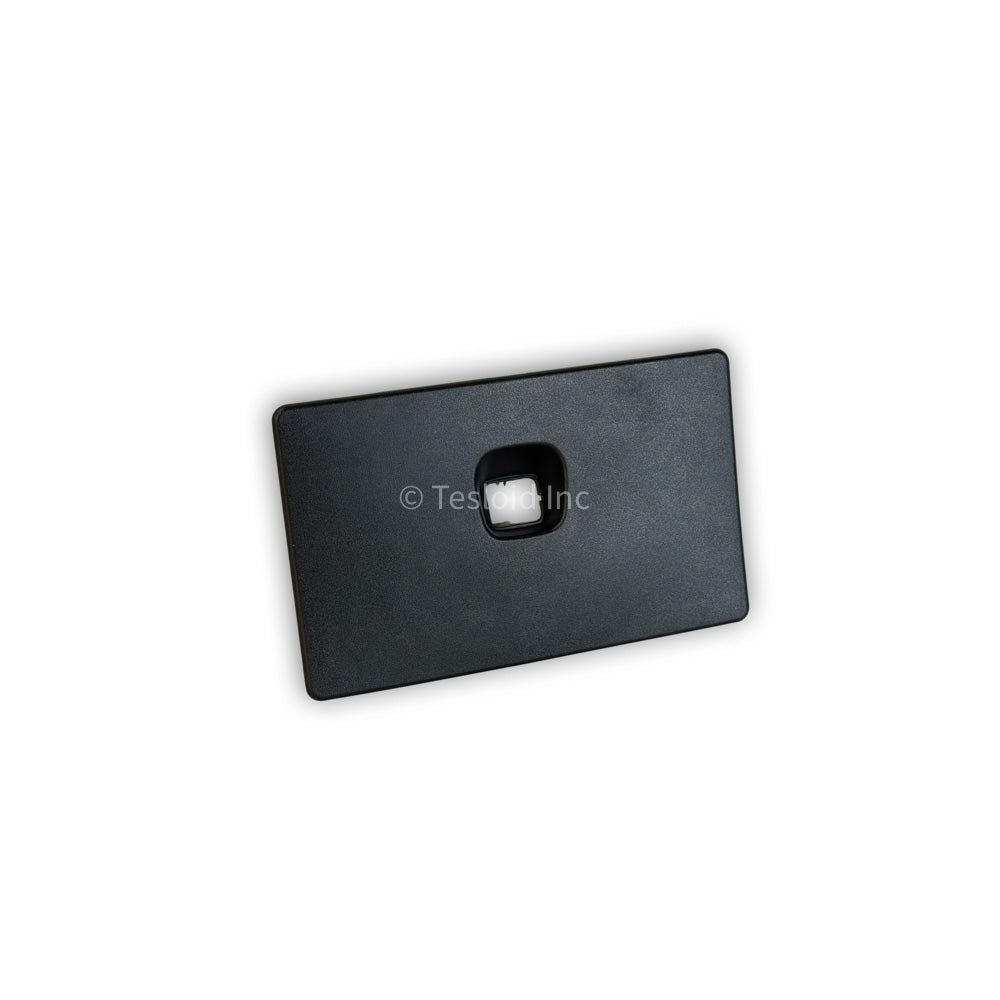 ASSEMBLY - ACCESS PANEL - Model Y