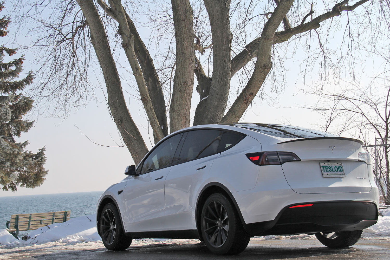 Model Y Performance Spoiler