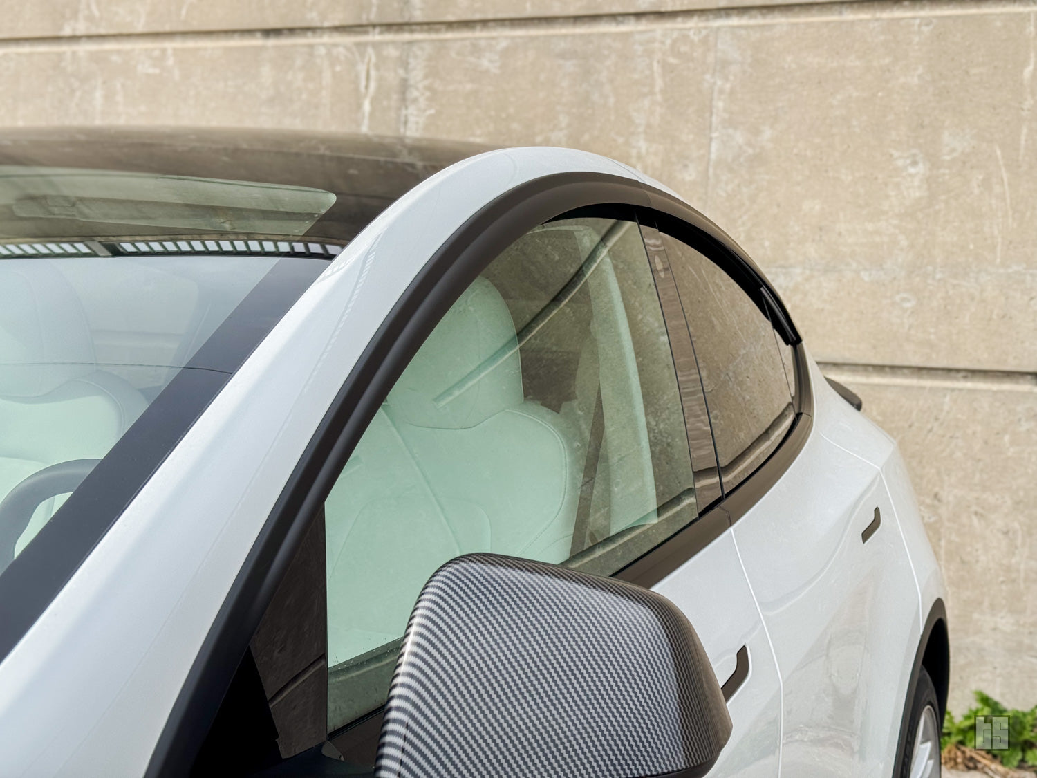 Model Y Window Visors – Rain & Wind