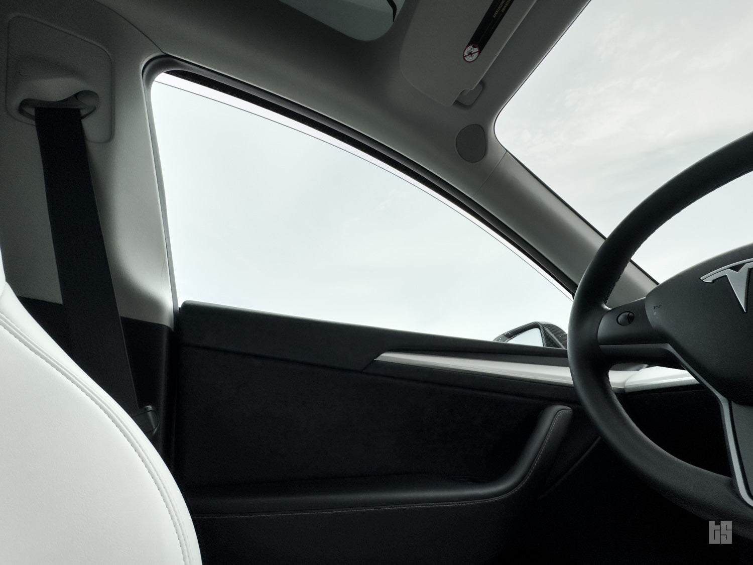 Model Y Window Visors – Rain & Wind