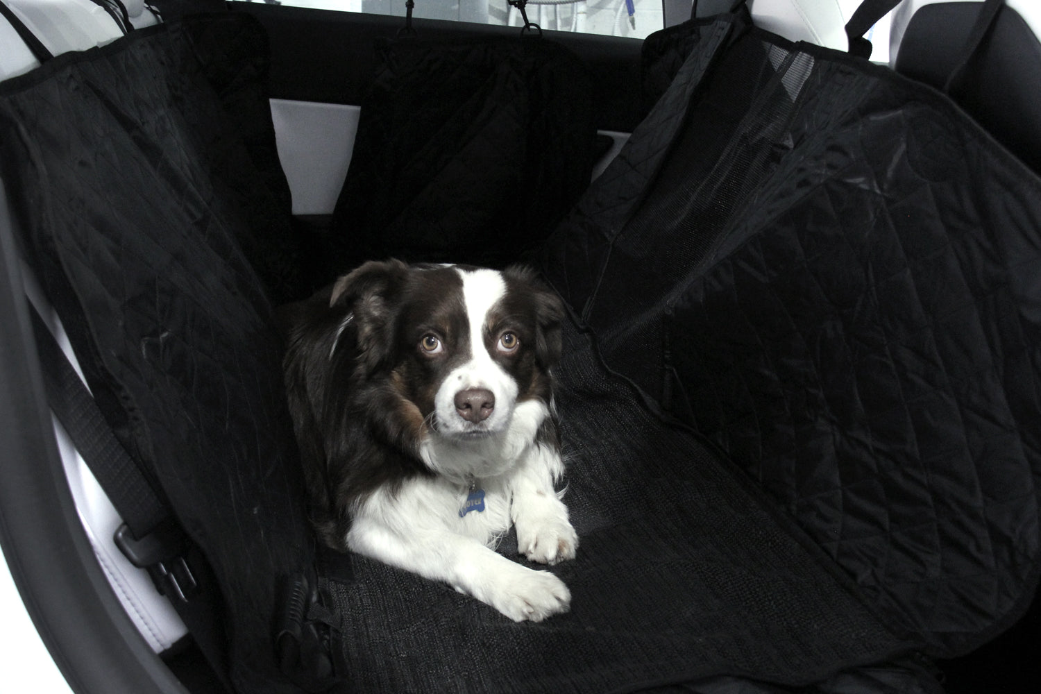 Model Y Pet Cover – Back Seat