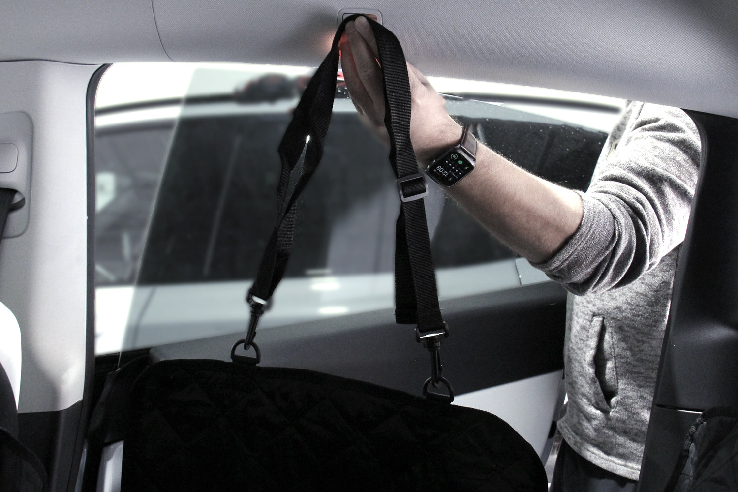 Model Y Pet Cover – Back Seat